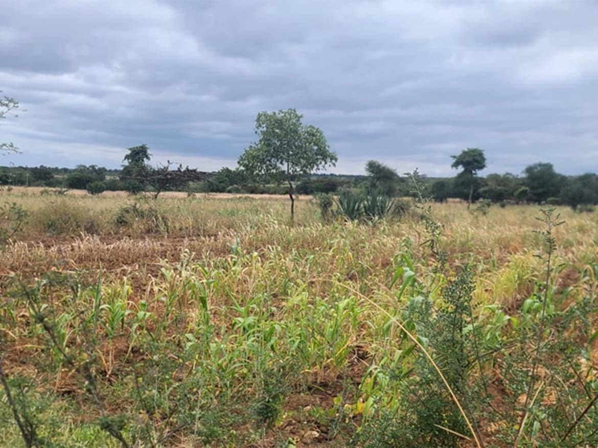 Prestige Gardens Matuu Phase 2